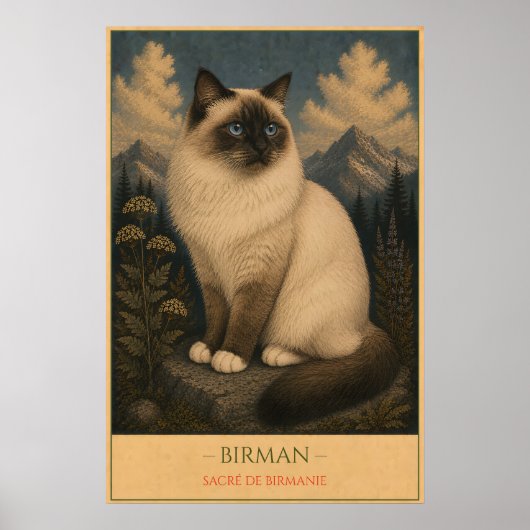 Heilige Gnade: Birma-Katze Poster (Vorne)