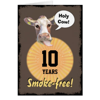 Heilige Kuh - 10 Jahre rauchfrei!