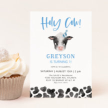 Heilige Kuh Boy 1. Geburtstag