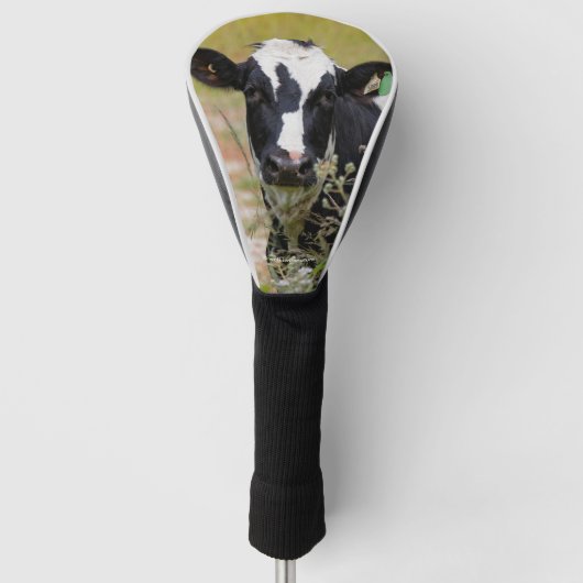 Heilige Kuh! Es ist ein Holstein-Friesier! Golf Headcover (Vorderseite)