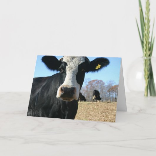 Heilige Kuh Wove bewegt Ankündigung (Vorderseite)