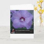 Heilige Lila Rose Sharons Karte (Gelbe Blume)
