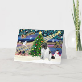 Heilige Magie Neufundland (Landseer) Feiertagskarte