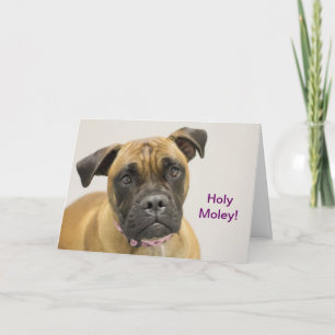 Heilige Moley Boxer-Geburtstags-Karte Karte