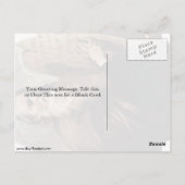 Heilige Moses von Jusepe de Ribera Postkarte (Rückseite)