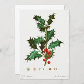 Heilige Weihnachten Einladung (Vorne/Hinten)