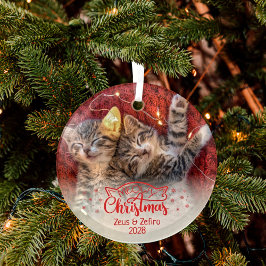 Heilige Weihnachten zwei Bilder Spaß Katzenliebhab Ornament Aus Glas
