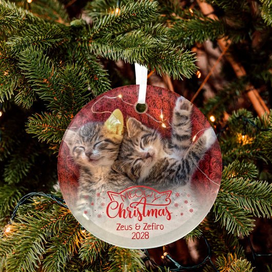 Heilige Weihnachten zwei Bilder Spaß Katzenliebhab Ornament Aus Glas