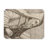 Heiliger Augustiner Hippo-Doktor der Kirche Magnet (Horizontal)