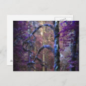 Heiliger Baum Postkarte (Vorne/Hinten)