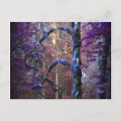 Heiliger Baum Postkarte (Vorderseite)