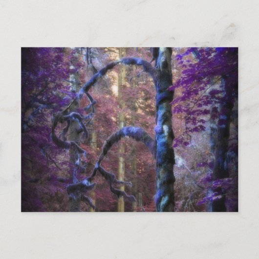 Heiliger Baum Postkarte (Vorderseite)