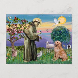Heiliger Franziskus - Golden Retriever (#1) Postkarte