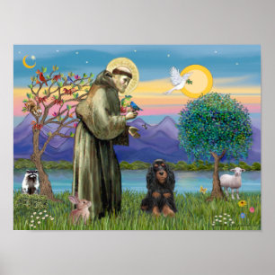 Heiliger Franziskus & Schwarz-Tan-Cocker-Spaniel Poster