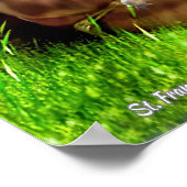 Heiliger Franziskus und die Predigt der Vögel Poster (Ecke)