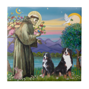 Heiliger Franziskus - Zwei Berner Sennenhunde Fliese