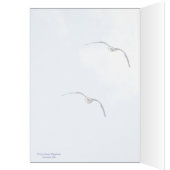 Heiliger Grackle! Sie sind geschlossen: (Innen (Links))