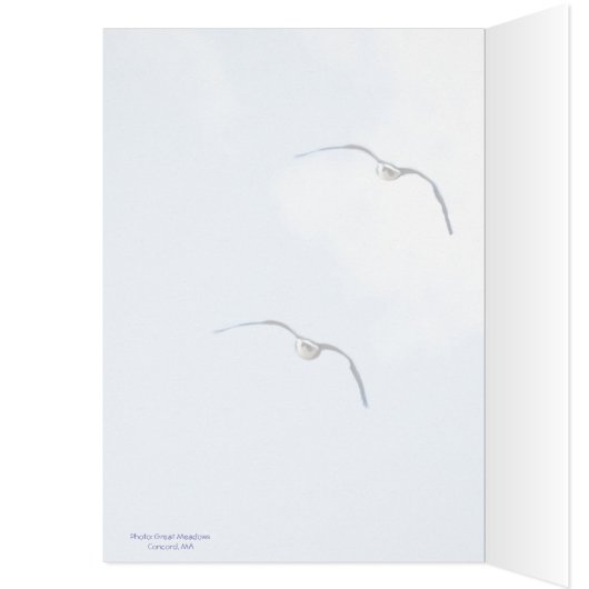 Heiliger Grackle! Sie sind geschlossen: (Innen (Links))