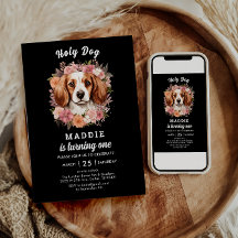 Heiliger Hund, ich bin einer! Hunde Mädchen 1. Geb