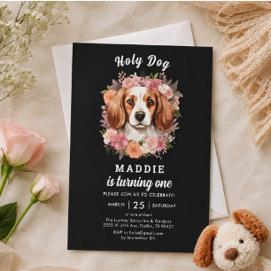 Heiliger Hund, ich bin Eins! Hunde-Mädchen 1. Gebu Einladung
