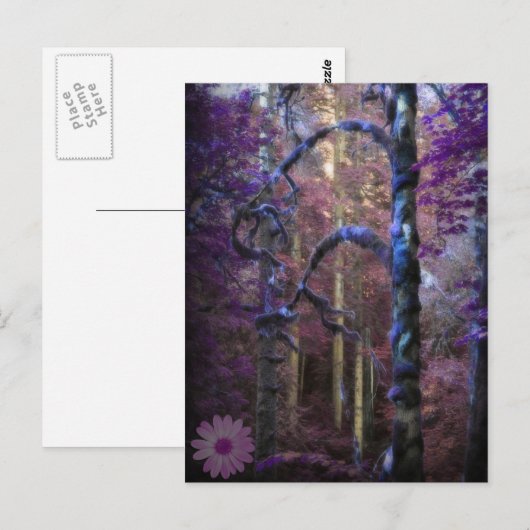 Heiliger Wald Postkarte (Vorne/Hinten)