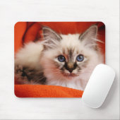 Heiliges Birman Kätzchen Mousepad (Mit Mouse)