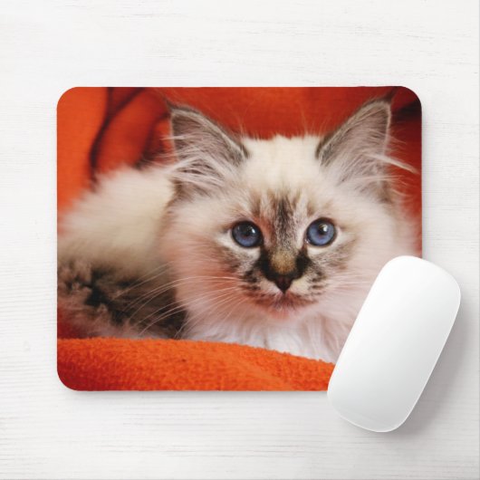 Heiliges Birman Kätzchen Mousepad (Mit Mouse)