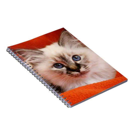 Heiliges Birman Kätzchen Notizblock (Rechte Seite)