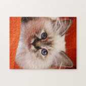 Heiliges Birman Kätzchen Puzzle (Horizontal)
