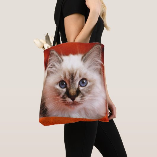 Heiliges Birman Kätzchen Tasche (Von Nahem)