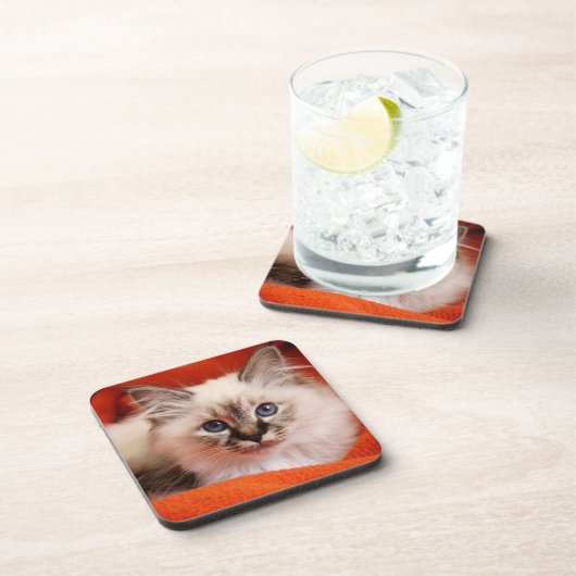 Heiliges Birman Kätzchen Untersetzer (Rechte Seite)