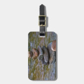 Heiliges Felsenstapel Sedona Knarren Gepäckanhänger (Vorderseite vertikal)