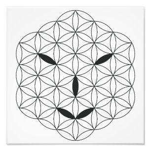 Heiliges Gesicht - Arcturian 02, Black-Tr. Fotodruck