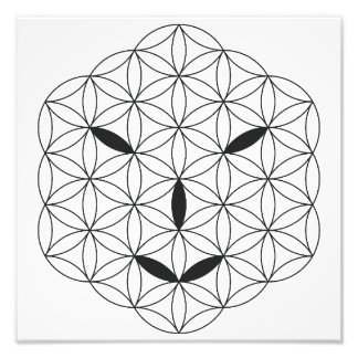 Heiliges Gesicht - Arcturian 02, Black-Tr. Fotodruck