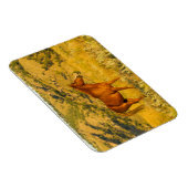 Heiligtum des Wilden Pferdes. Magnet (Rechte Seite)