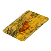 Heiligtum des Wilden Pferdes. Magnet (Linke Seite)