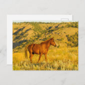 Heiligtum des Wilden Pferdes. Postkarte (Vorne/Hinten)