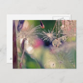 Heiligtum von Dandellion Postkarte (Vorne/Hinten)