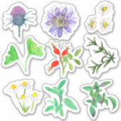 Heilkräuter Rosehips Rosemary Chamomile Gingko Aufkleber (Vorderseite)