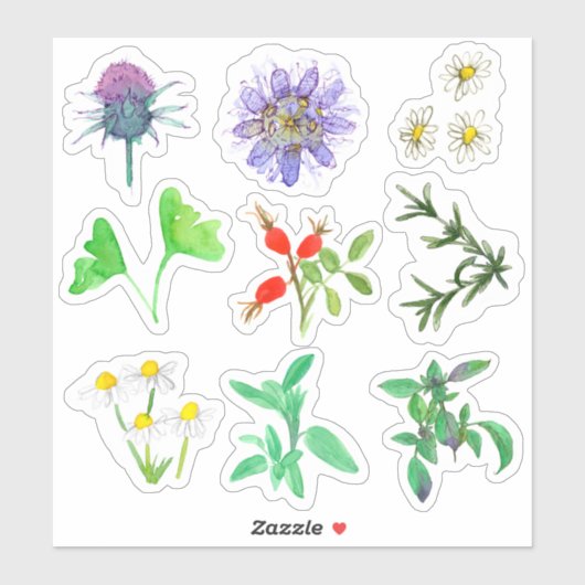 Heilkräuter Rosehips Rosemary Chamomile Gingko Aufkleber (Blatt)