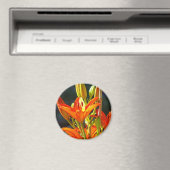 Heilmagnete Touch Orange Lily Blume Magnet (In Situ (Geschirrspüler))