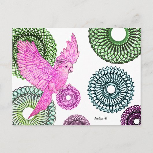 Heilparaket Postkarte (Vorderseite)