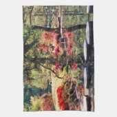 Heilpfad Geschirrtuch (Vertikal)