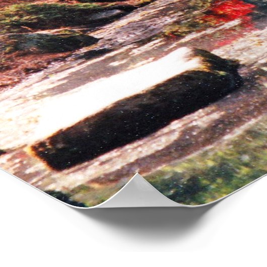 Heilpfad Poster (Ecke)