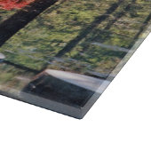 Heilpfad Schneidebrett (Ecke)