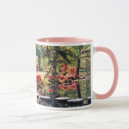 Heilpfad Tasse