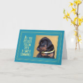 Heilung, Hundesitze Karte (Gelbe Blume)