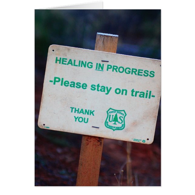 Heilung im Gange - Bitte Bleibe auf dem Trail Car (Vorne)