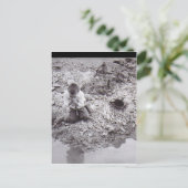 Heilung meines Dursts Postkarte (Stehend Vorderseite)