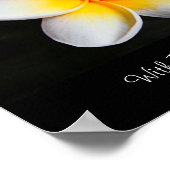 Heilung mit der Blume des Baches Poster (Ecke)